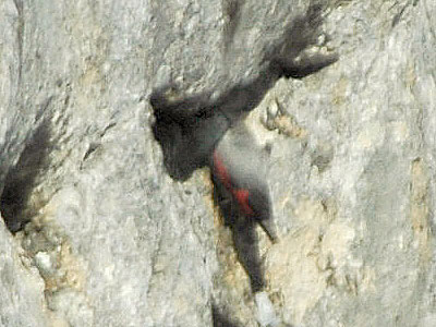 Tichodrome explorant une fissure de rochers