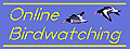 Kitagawa - Digiscopy - Birdwatching