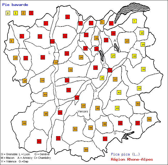 Pie bavarde - Pica pica (L.). Carte de rpartition des oiseaux en rgion Rhne-Alpes