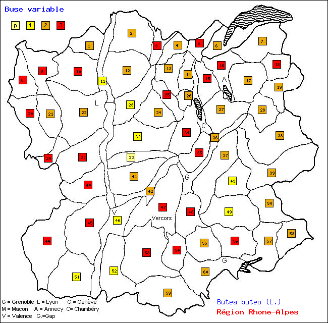 Buse variable - Butea buteo (L.). Carte de rpartition des oiseaux en rgion Rhne-Alpes