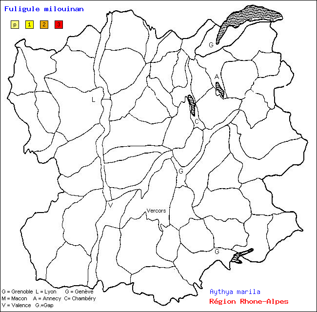 Carte des districts de Rhne-Alpes et rpartition d'une espce d'oiseau: Fuligule milouinan (Aythya marila)