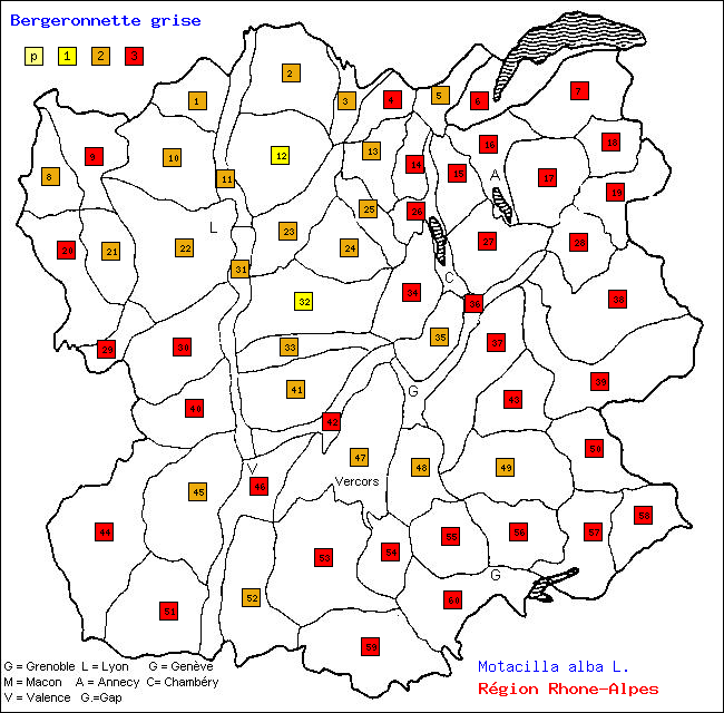 Carte des districts de Rhne-Alpes et rpartition d'une espce d'oiseau: Bergeronnette grise (Motacilla alba L.)