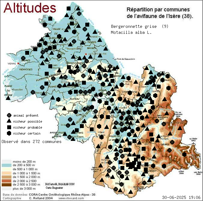 Carte de rpartition par communes en Isre d'une espce d'animal: Bergeronnette grise (Motacilla alba L.) selon Altitudes