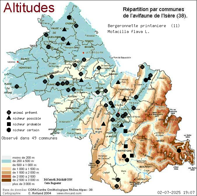 Carte de rpartition par communes en Isre d'une espce d'animal: Bergeronnette printanire (Motacilla flava L.) selon Altitudes