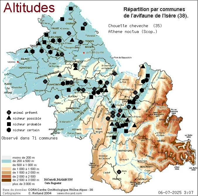 Carte de rpartition par communes en Isre d'une espce d'animal: Chouette chevche (Athene noctua (Scop.)) selon Altitudes