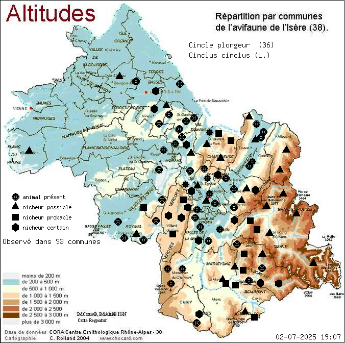 Carte de rpartition par communes en Isre d'une espce d'animal: Cincle plongeur (Cinclus cinclus (L.)) selon Altitudes