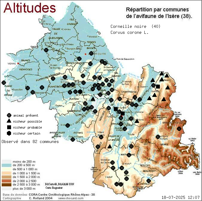 Carte de rpartition par communes en Isre d'une espce d'animal: Corneille noire (Corvus corone L.) selon Altitudes