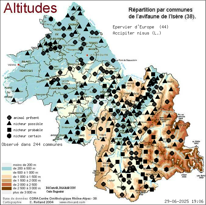 Epervier d Europe (Accipiter nisus (L.)): carte de rpartition en Isre