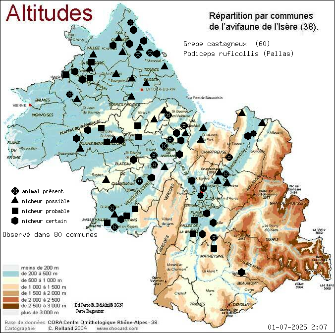 Grbe castagneux (Podiceps ruficollis (Pallas)): carte de rpartition en Isre