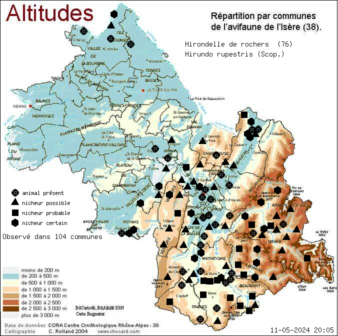 Carte de rpartition par communes en Isre d'une espce d'animal: Hirondelle de rochers (Hirundo rupestris (Scop.)) selon Altitudes