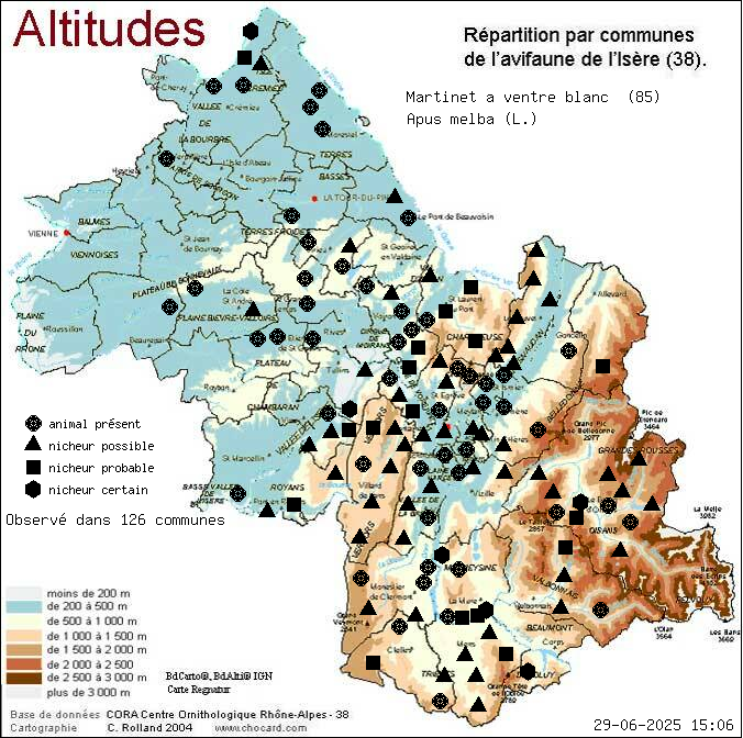 Martinet  ventre blanc (Apus melba (L.)): carte de rpartition en Isre