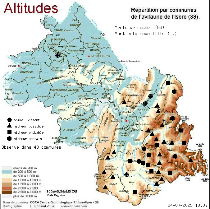 Merle de roche (Monticola saxatillis (L.)): carte de rpartition en Isre