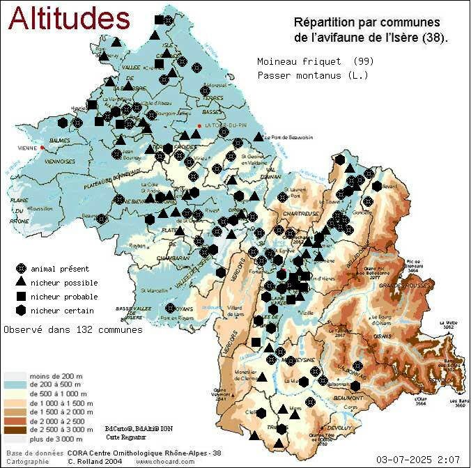 Moineau friquet (Passer montanus (L.)): carte de rpartition en Isre