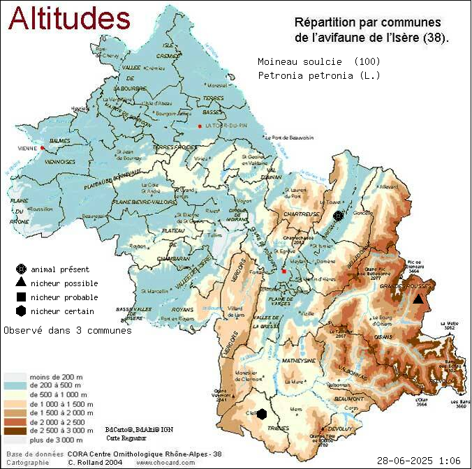 Moineau soulcie (Petronia petronia (L.)): carte de rpartition en Isre