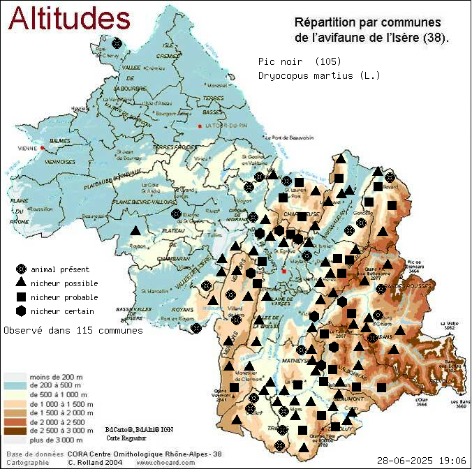 Pic noir (Dryocopus martius (L.)): carte de rpartition en Isre