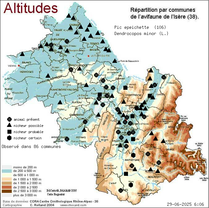 Pic peichette (Dendrocopos minor (L.)): carte de rpartition en Isre