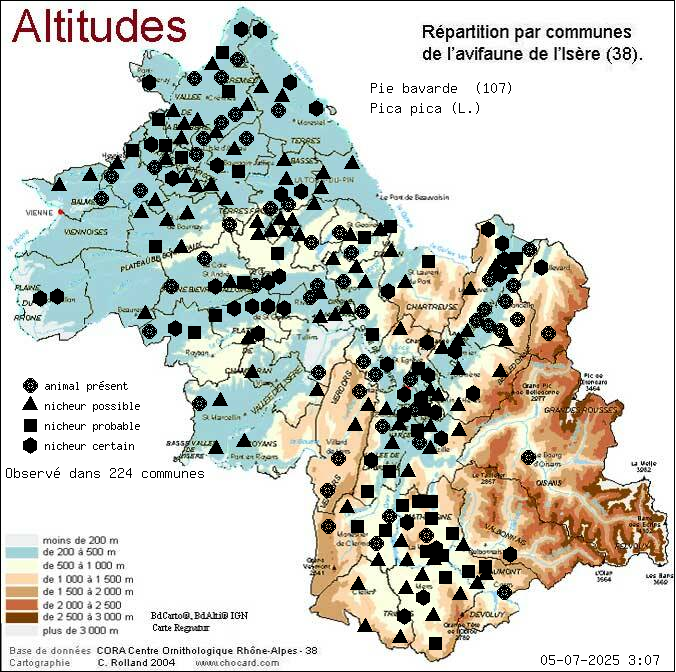 Pie bavarde (Pica pica (L.)): carte de rpartition en Isre