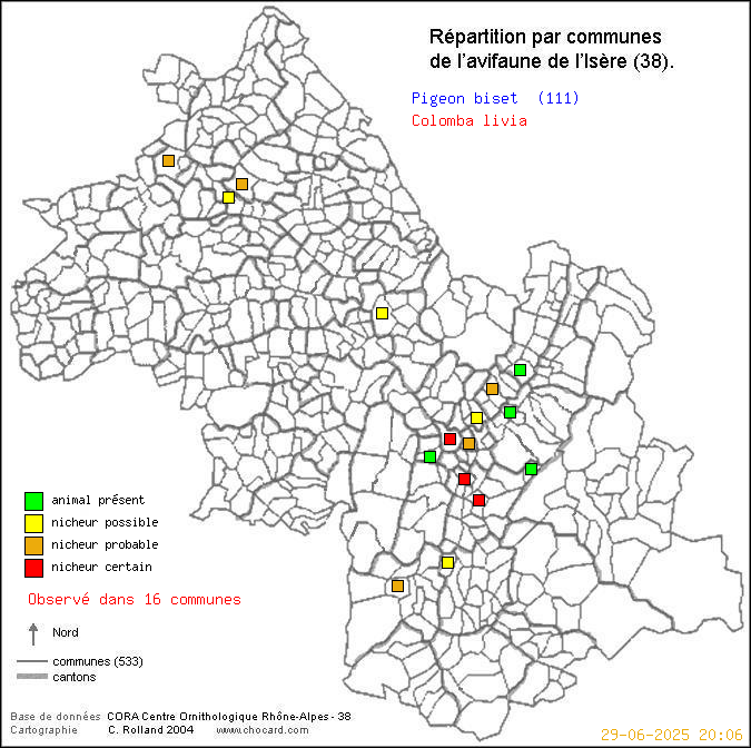 Carte de rpartition par communes en Isre d'une espce d'oiseau: Pigeon biset (Colomba livia) selon Communes et cantons