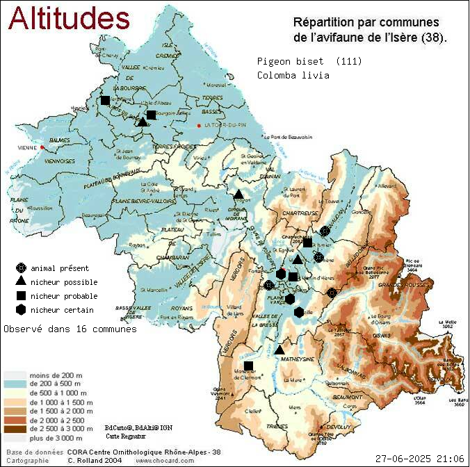 Pigeon biset (Colomba livia): carte de rpartition en Isre