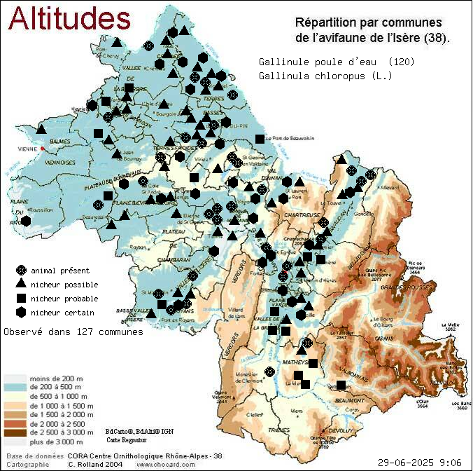 Gallinule poule d eau (Gallinula chloropus (L.)): carte de rpartition en Isre