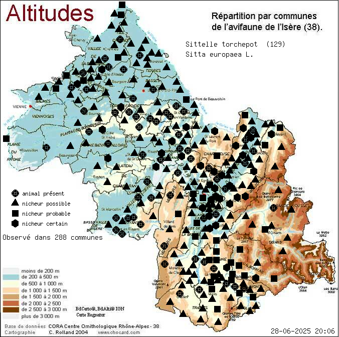 Sittelle torchepot (Sitta europaea L.): carte de rpartition en Isre