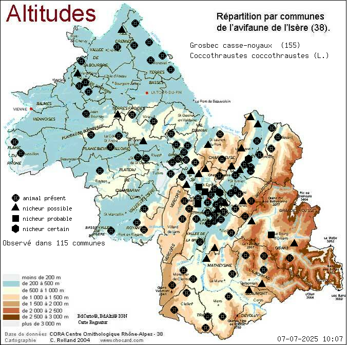 Grosbec casse-noyaux (Coccothraustes coccothraustes (L.)): carte de rpartition en Isre