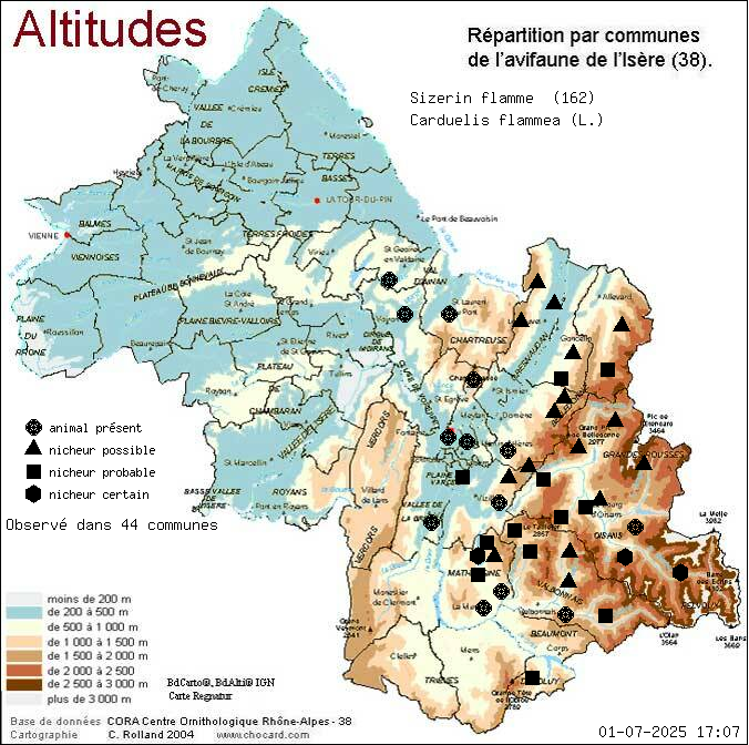 Carte de rpartition par communes en Isre d'une espce d'animal: Sizerin flamm (Carduelis flammea (L.)) selon Altitudes