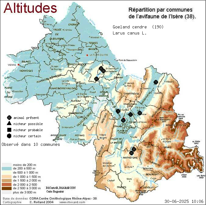 Goland cendr (Larus canus L.): carte de rpartition en Isre