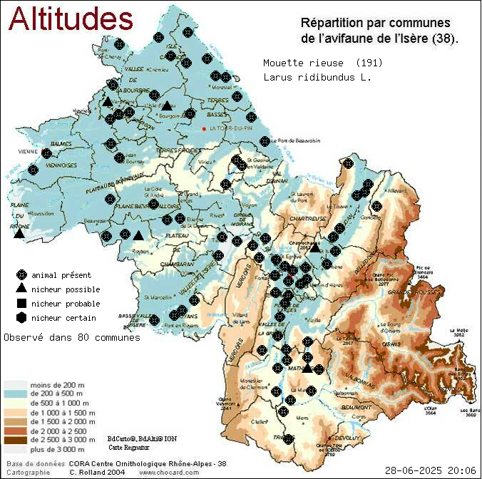 Mouette rieuse (Larus ridibundus L.): carte de rpartition en Isre