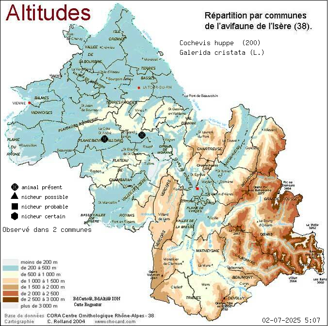 Carte de rpartition par communes en Isre d'une espce d'animal: Cochevis hupp (Galerida cristata (L.)) selon Altitudes