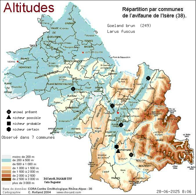 Goland brun (Larus fuscus): carte de rpartition en Isre