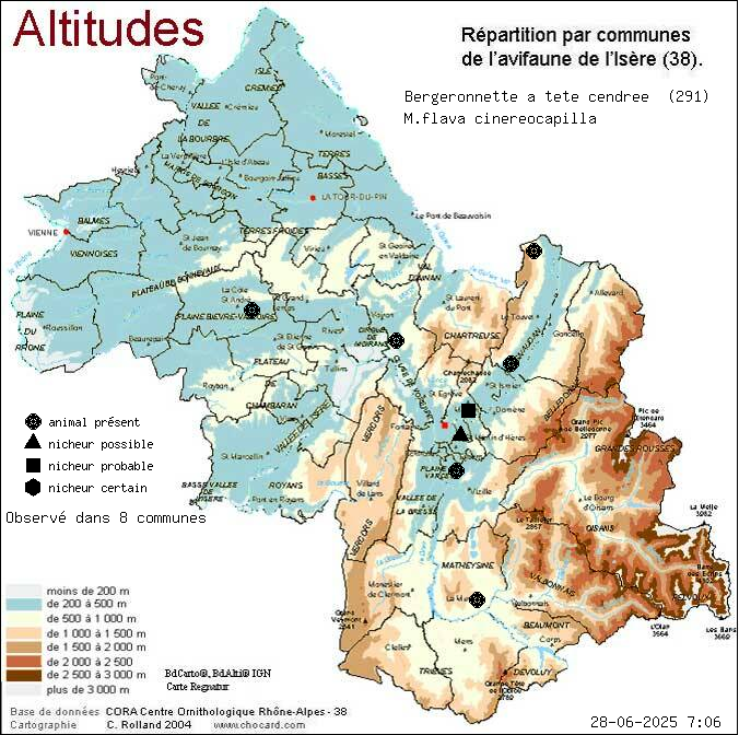 Carte de rpartition par communes en Isre d'une espce d'animal: Bergeronnette  tte cendre (M.flava cinereocapilla) selon Altitudes