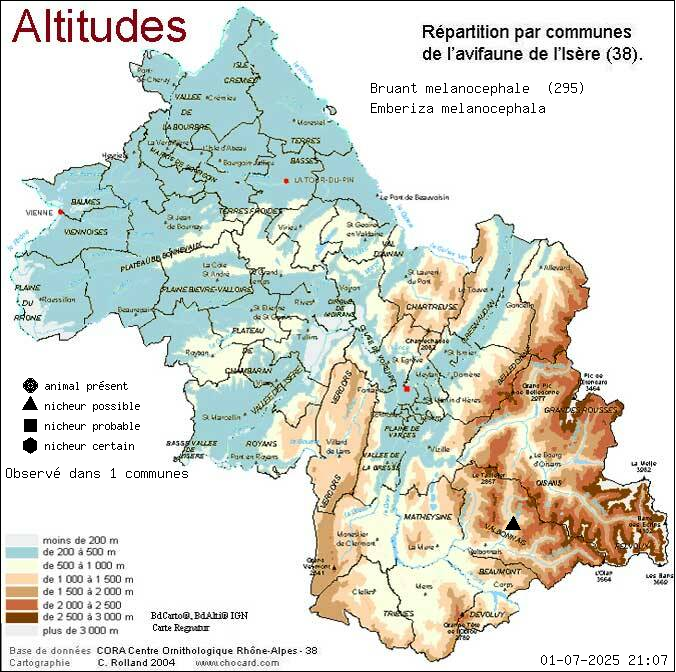 Bruant mlanocphale (Emberiza melanocephala): carte de rpartition en Isre