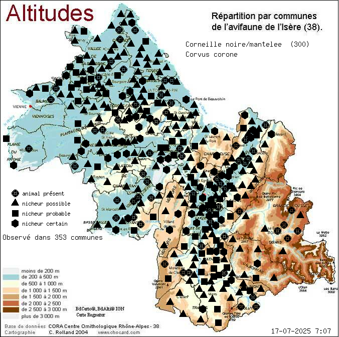 Corneille noire/mantele (Corvus corone): carte de rpartition en Isre
