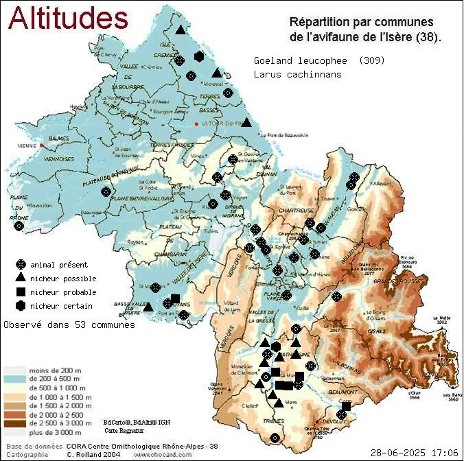 Goland leucophe (Larus cachinnans): carte de rpartition en Isre