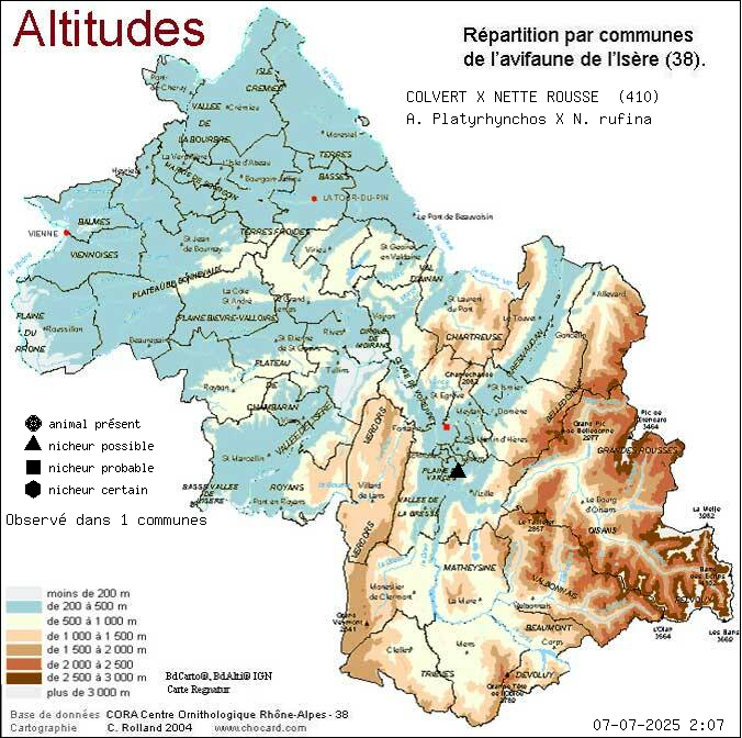 Carte de rpartition par communes en Isre d'une espce d'animal: COLVERT X NETTE ROUSSE (A. Platyrhynchos X N. rufina) selon Altitudes