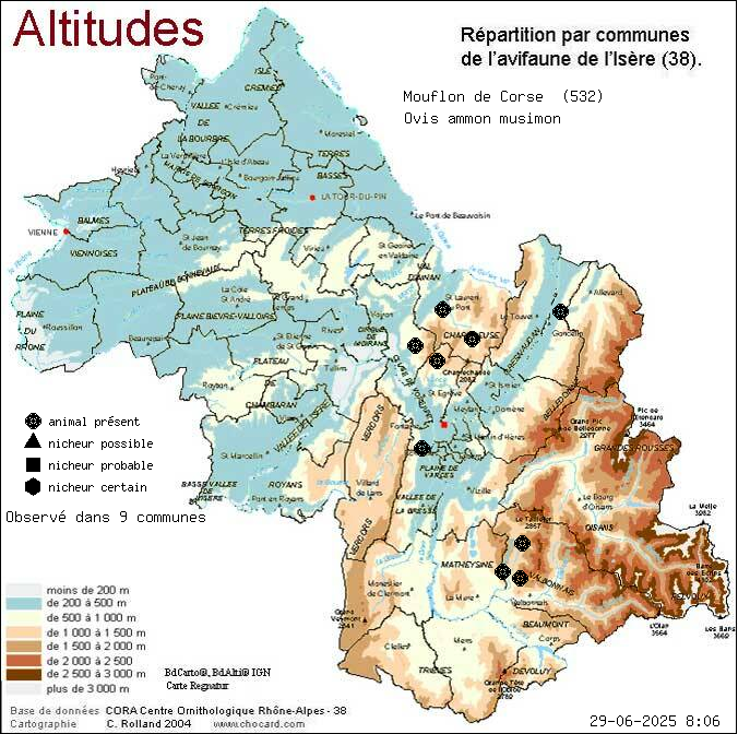 Carte de rpartition par communes en Isre d'une espce d'animal: Mouflon de Corse (Ovis ammon musimon) selon Altitudes