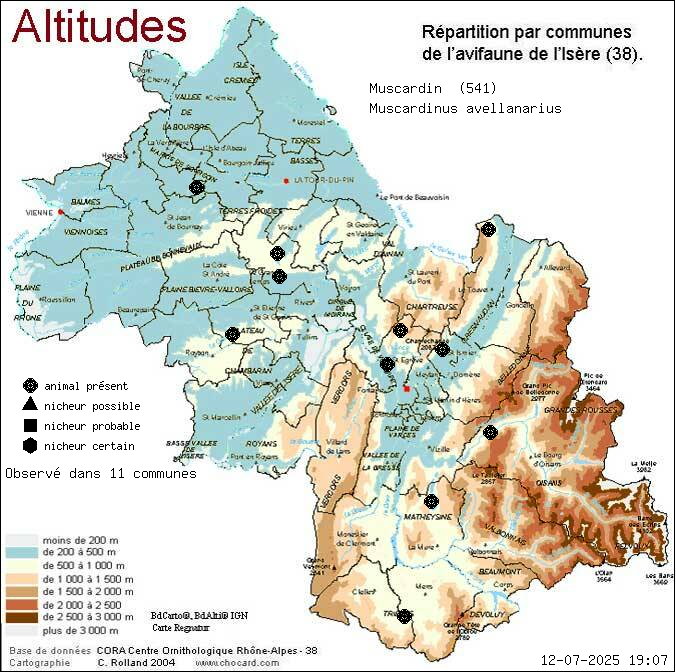 Muscardin (Muscardinus avellanarius): carte de rpartition en Isre