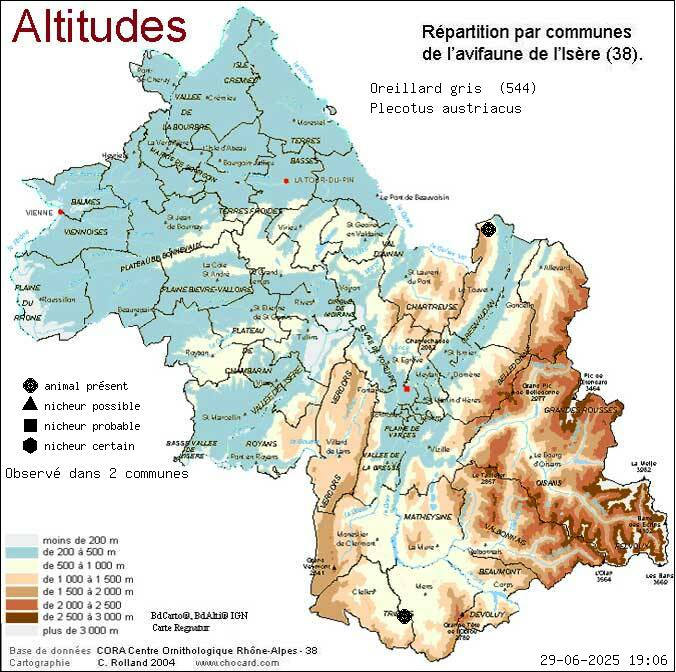 Carte de rpartition par communes en Isre d'une espce d'animal: Oreillard gris (Plecotus austriacus) selon Altitudes