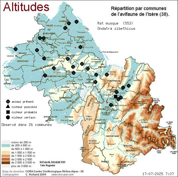 Rat musqu (Ondatra zibethicus): carte de rpartition en Isre