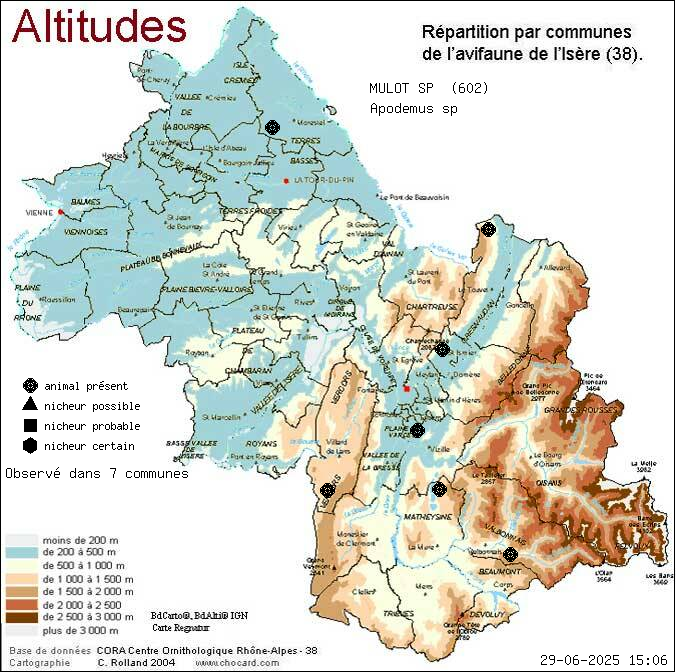 Carte de rpartition par communes en Isre d'une espce d'animal: MULOT SP (Apodemus sp) selon Altitudes
