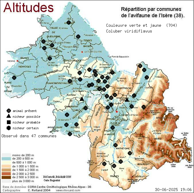 Carte de rpartition par communes en Isre d'une espce d'animal: Couleuvre verte et jaune (Coluber viridiflavus) selon Altitudes