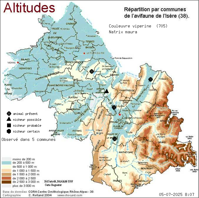 Carte de rpartition par communes en Isre d'une espce d'animal: Couleuvre viprine (Natrix maura) selon Altitudes