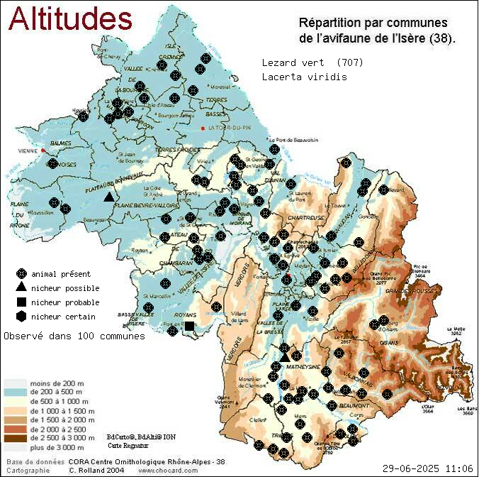 Carte de rpartition par communes en Isre d'une espce d'animal: Lzard vert (Lacerta viridis) selon Altitudes