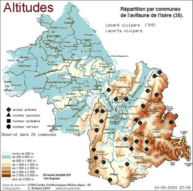 Carte de rpartition par communes en Isre d'une espce d'animal: Lzard vivipare (Lacerta vivipara) selon Altitudes