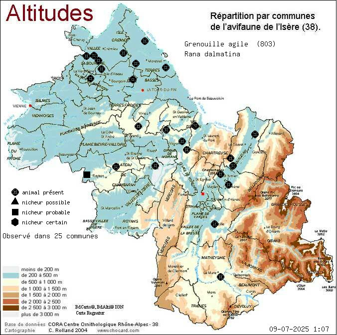 Carte de rpartition par communes en Isre d'une espce d'animal: Grenouille agile (Rana dalmatina) selon Altitudes