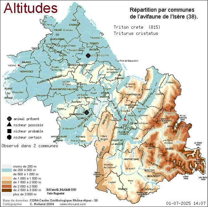 Carte de rpartition par communes en Isre d'une espce d'animal: Triton crt (Triturus cristatus) selon Altitudes