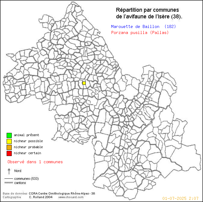 Carte de rpartition par communes en Isre d'une espce d'oiseau: Marouette de Baillon (Porzana pusilla (Pallas)) selon Communes et cantons