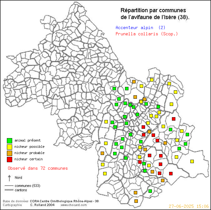 Carte de rpartition par communes en Isre d'une espce d'oiseau: Accenteur alpin (Prunella collaris (Scop.)) selon Communes et cantons