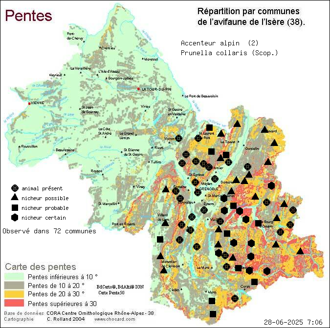 Accenteur alpin (Prunella collaris (Scop.)): carte de rpartition en Isre